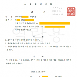 개시결정